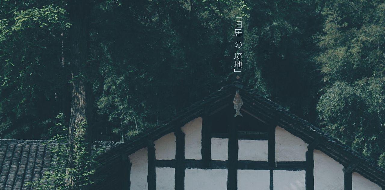 救援小棕兔