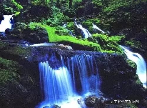 龙虎山道教学院分数线游戏画面
