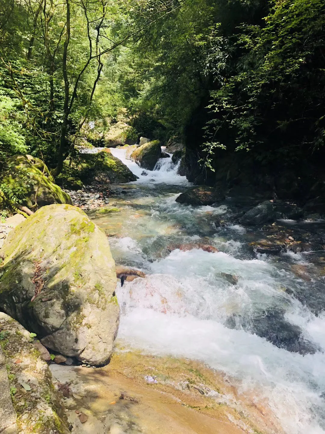 喜羊羊要上200层