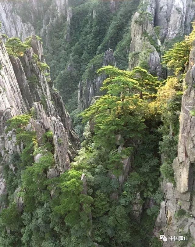 两岁左右的孩子为何会变得叛逆呢?应对叛逆否方法有哪些?红迪网-分享你的想法和见解