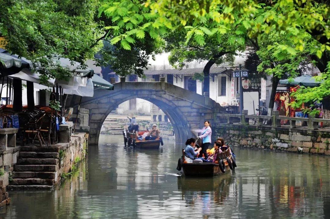 破碎的动物图形
