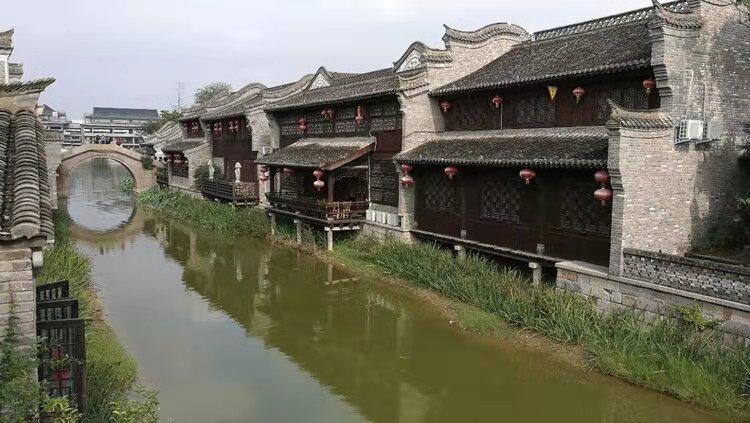 星动，只为你