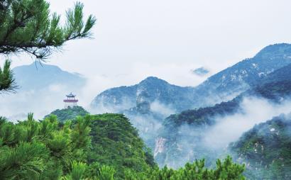 办理离婚证要照片吗游戏画面